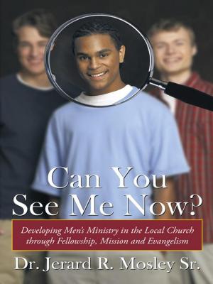Cover of the book Can You See Me Now? by Terria Willis