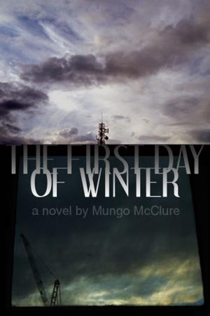 bigCover of the book The First Day of Winter by 