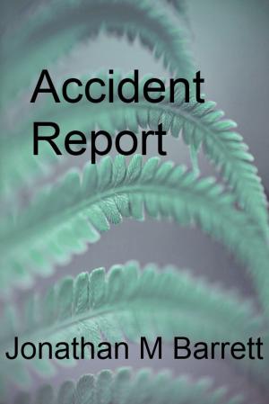 Cover of the book Accident Report by James Wallace