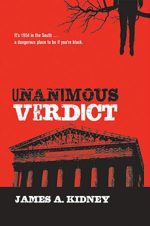 bigCover of the book Unanimous Verdict by 