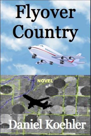 Cover of the book Flyover Country by Roger Cannon