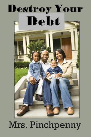 Cover of the book Destroy Your Debt by Mercedes Black