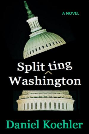 Cover of the book Splitting Washington by Sarah Billington