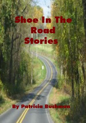 Book cover of Shoe In The Road Stories