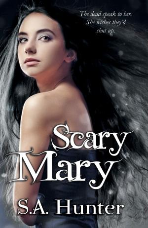 Book cover of Scary Mary
