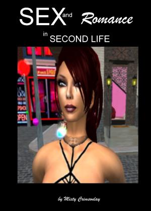 Book cover of Sex and Romance in Second Life.