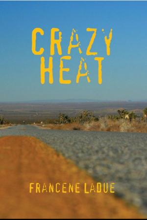 Cover of the book Crazy Heat by Trinidad Giachino
