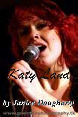 bigCover of the book Katy Land by 