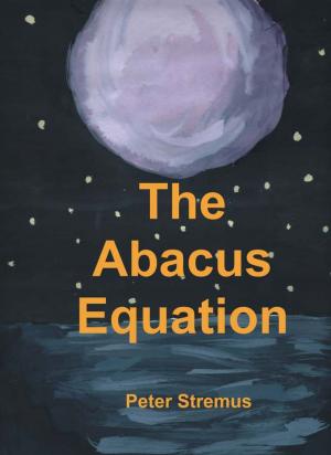 Cover of the book The Abacus Equation by Jake Biondi