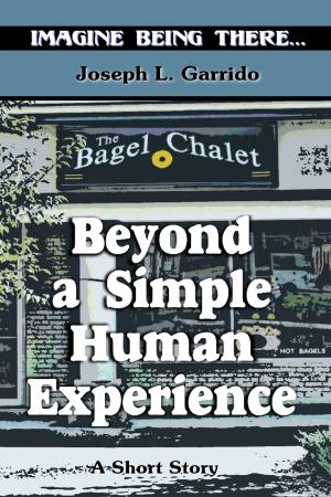 Cover of the book Beyond A Simple Human Experience by JE Hunter