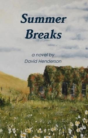 Book cover of Summer Breaks: a novel