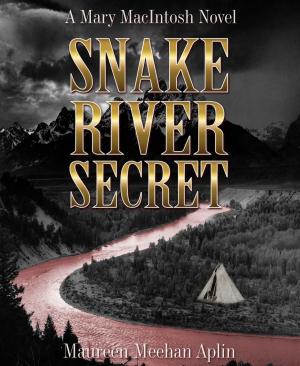 Cover of the book Snake River Secret, a Mary MacIntosh novel by James E. Stranger