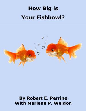 Book cover of How Big is Your Fishbowl?