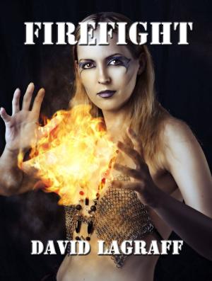 Cover of the book Firefight by Declan White