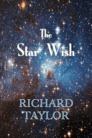 Book cover of The Star Wish