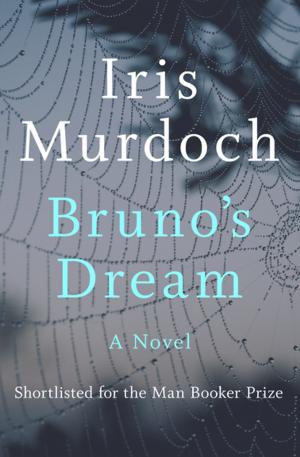 Cover of the book Bruno's Dream by Chris Lynch