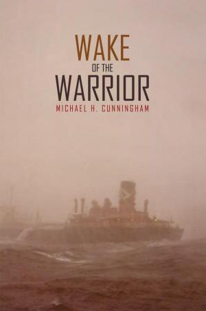 Book cover of Wake of the Warrior
