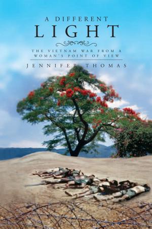 Cover of the book A Different Light by Thomas C. Stewart