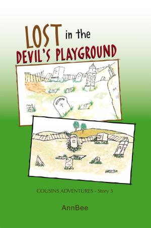 Cover of the book Lost in the Devil’S Playground by Sean St.Clair Fields