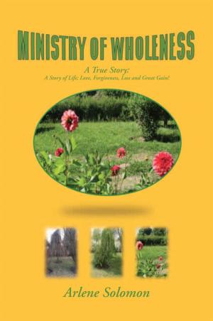 Cover of the book Ministry of Wholeness by Daniel Bernardo Macaluso