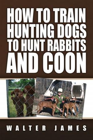 Cover of the book How to Train Hunting Dogs to Hunt Rabbits and Coon by Maureen Hovda, Doug Hovda