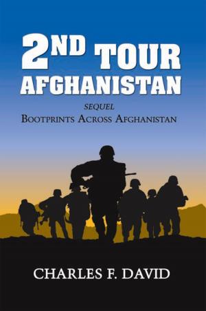 Book cover of Second Tour Afghanistan