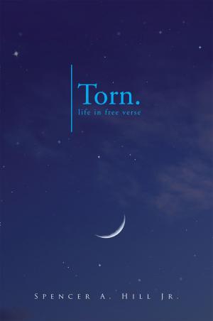 Cover of the book Torn. by Lynda L. Durrett, Yisrael Avila