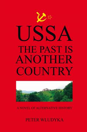 Cover of the book Ussa: the Past Is Another Country by Courtney Giedt
