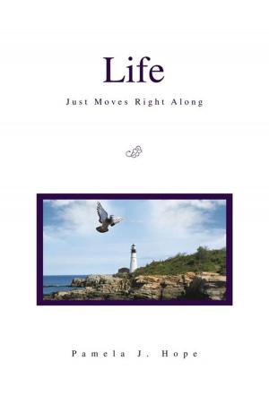 Cover of the book Life Just Moves Right Along by Chris Frazier