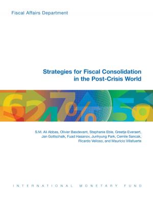 Book cover of Strategies for Fiscal Consolidation in the Post-Crisis World