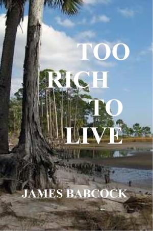 Cover of the book Too Rich to Live: Was it Suicide--or Murder? by R L Stephens
