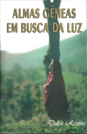 Cover of Almas Gêmeas em Busca da Luz