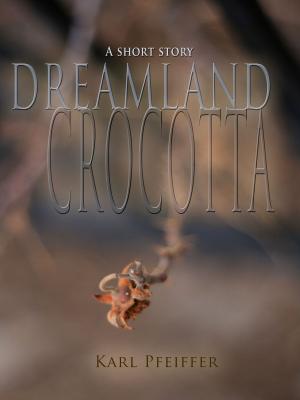 Cover of the book Dreamland Crocotta by LJ Cohen