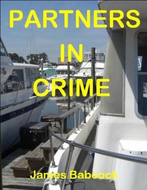 Cover of the book Partners in Crime: Who Was Smuggling Drugs? by Blair Lindsay