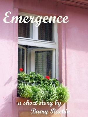 bigCover of the book Emergence by 