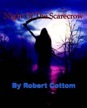 Book cover of Night Of The Scarecrow