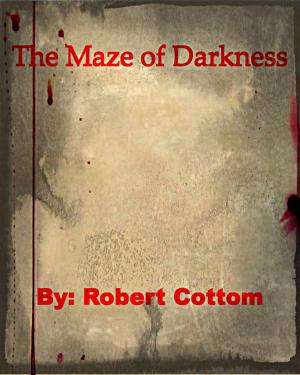 Book cover of The Maze of Darkness