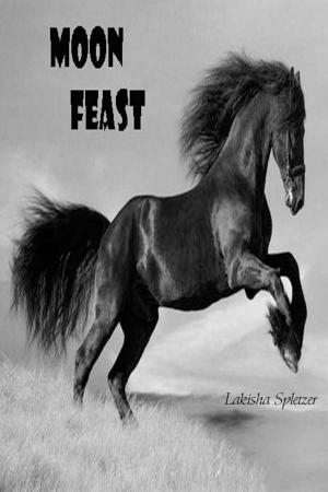 Cover of the book Moon Feast by Lakisha Spletzer