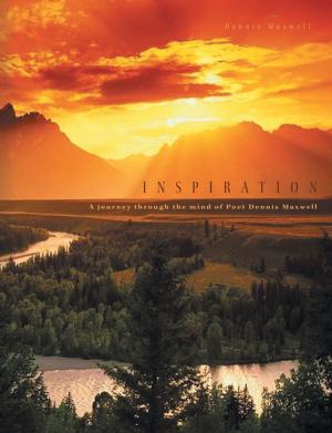 Cover of the book Inspiration by Tim Carr