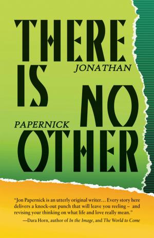 Cover of the book There Is No Other by M. T. Kelly, Daniel David Moses