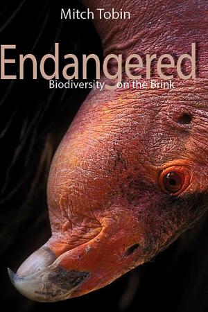 Cover of the book Endangered by Deborah L. Davis