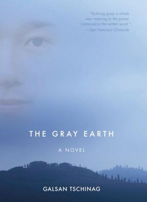 Cover of the book The Gray Earth by Deni Ellis Bechard