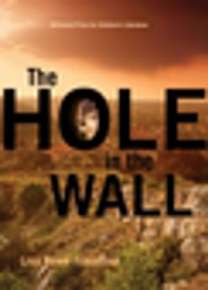 Cover of the book The Hole in the Wall by Nancy Reddy