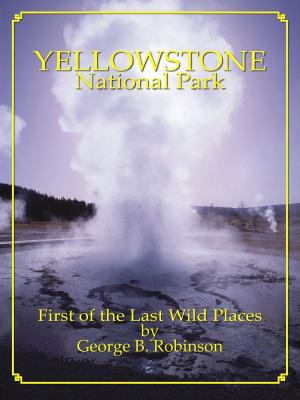 Cover of the book Yellowstone National Park: First Of The Last Wild Places by Brian David Bruns