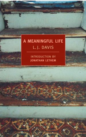 Cover of the book A Meaningful Life by Georges Simenon