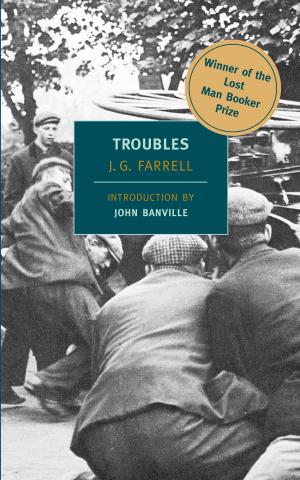 Cover of the book Troubles by Wladimir Kaminer
