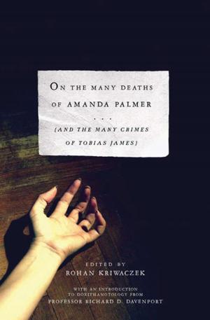Cover of the book On the Many Deaths of Amanda Palmer by Anita Lo, Charlotte Druckman, Lucy Schaeffer