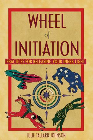 Book cover of Wheel of Initiation