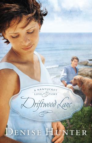 bigCover of the book Driftwood Lane by 