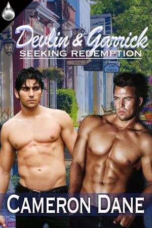 bigCover of the book Devlin and Garrick by 